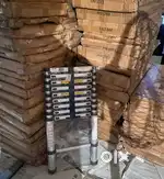 Telescopic ladder