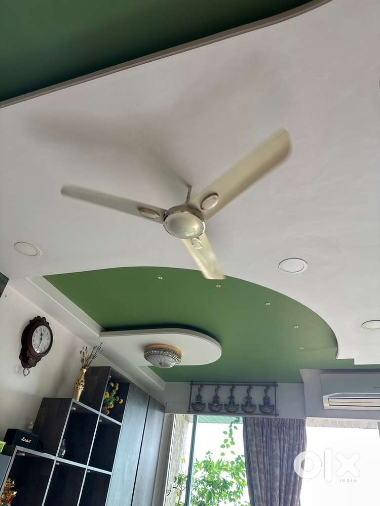 Ceiling Fans