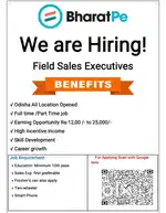 BHARAT PE COMPANY