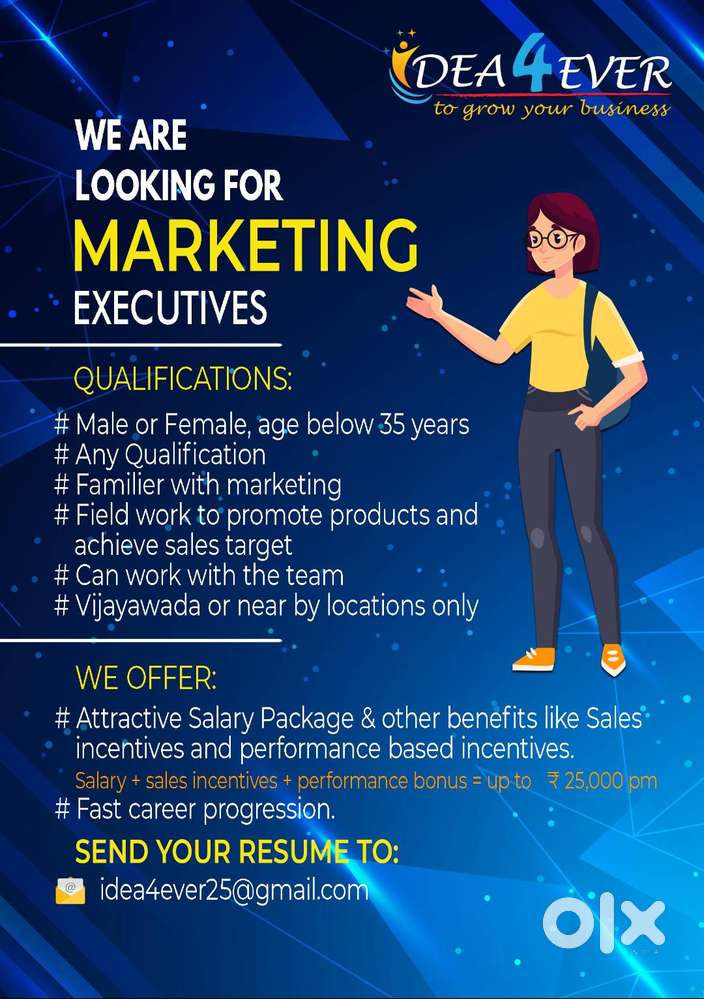 Sales and Marketing Executive