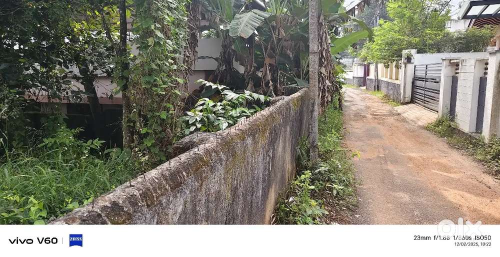 7 CENTS PRIME RESIDENCIAL PLOT FOR SALE NEAR MUTTADA