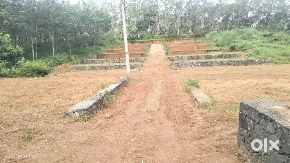 Chottanikkara temple panchayath area plot for sale