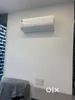 Sco for rent