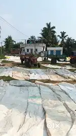 Near Nelaturu vanthana
