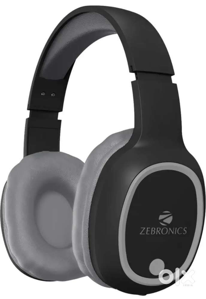 Zebronics Headphone