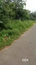 New CNT land   Rajwadih cheyaki road