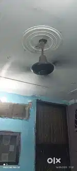Ceiling fan