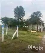 4500 Sqfeet Plot Near Alagarkovil Main Road Poyyakaraipatti