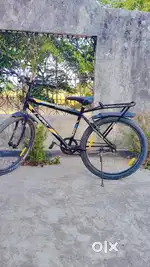Raynger cycle