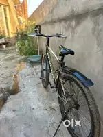 Best cycle 4 months old