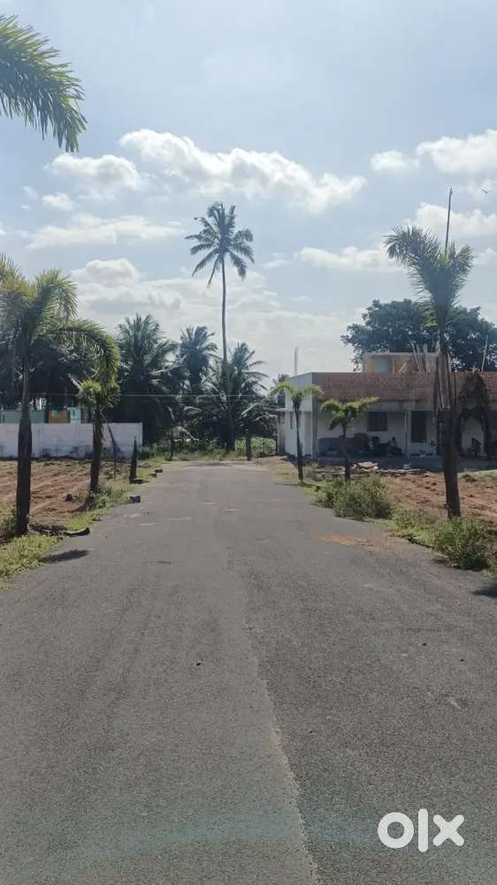 LOW BUDGET PRIMIUM DTCP PROJECT IN OTHAKALMANDAM AREA
