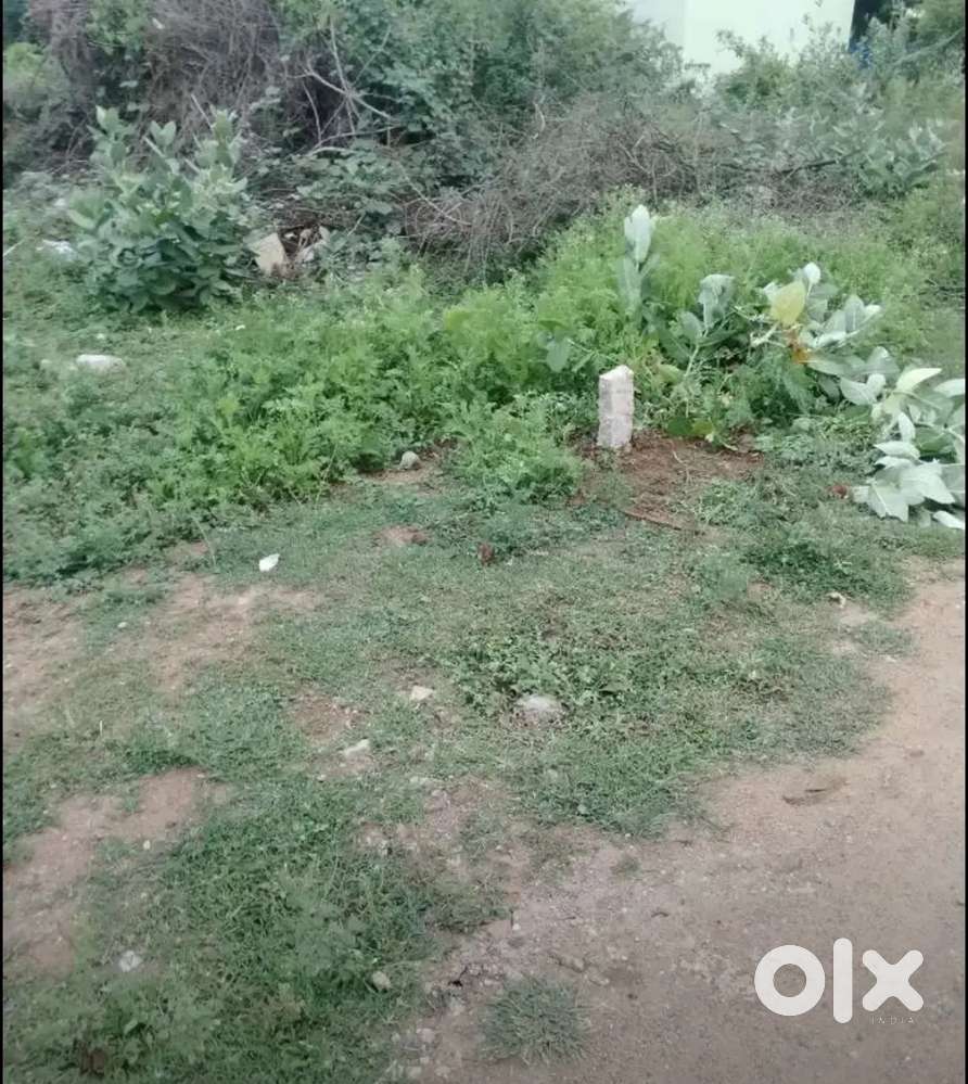 Chatrapatti to Alanganallur land for sale 3.5 cent