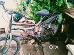 Shark Bikes