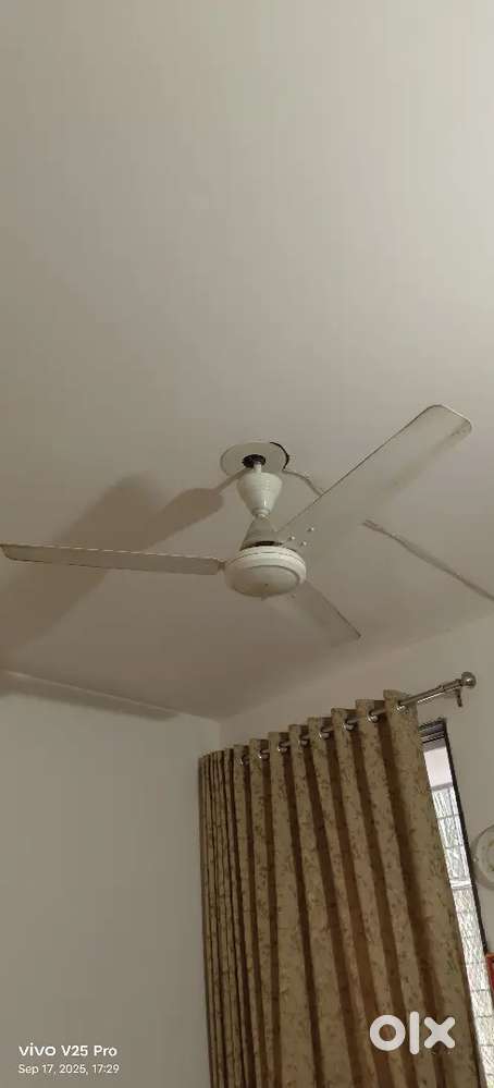 Crompton Company 1 ceiling fan White colour required to sale