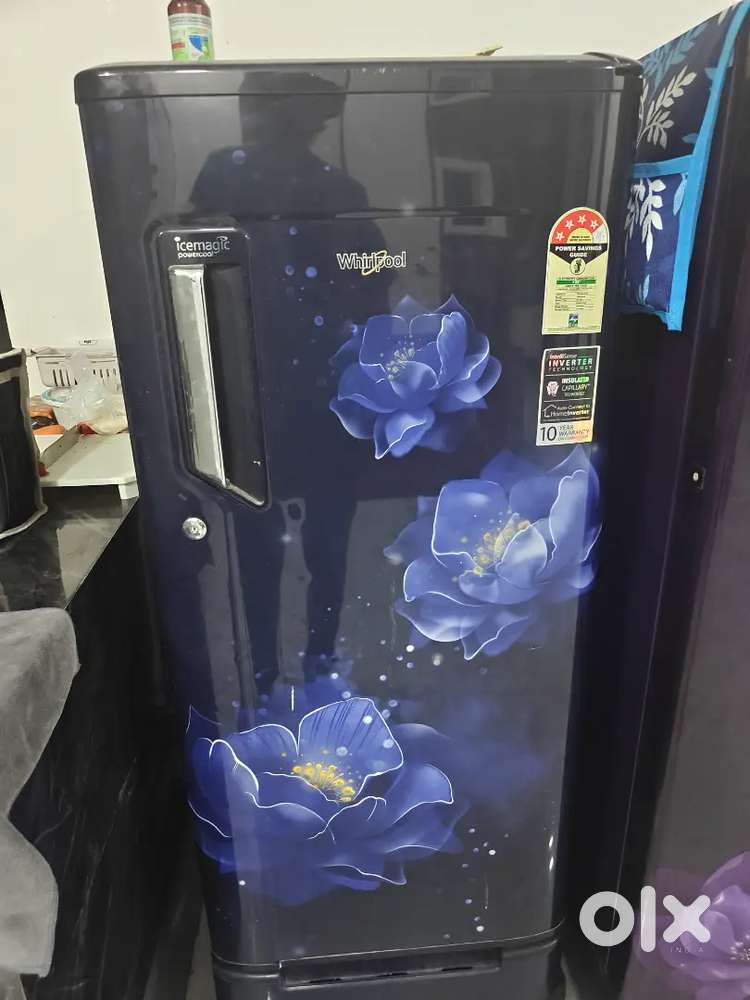 2022 model fridge