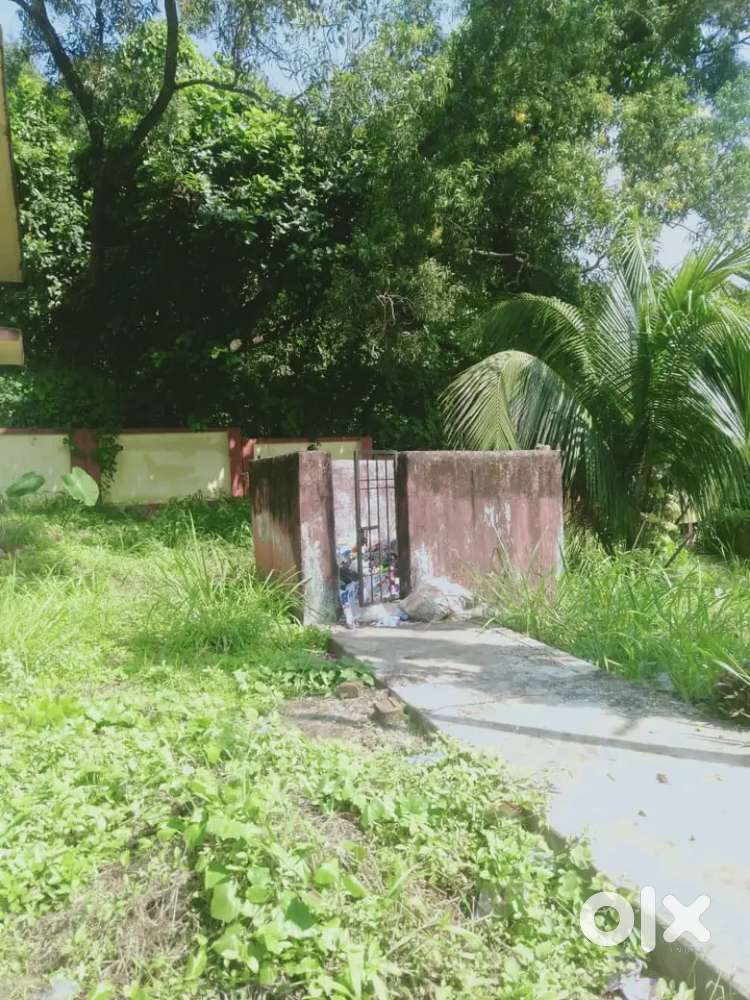 Sell my magurpara(Nearbijoynagar)1bigha 12foot road touch land