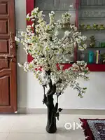 Show piece white flowers tree 5.5feet tall