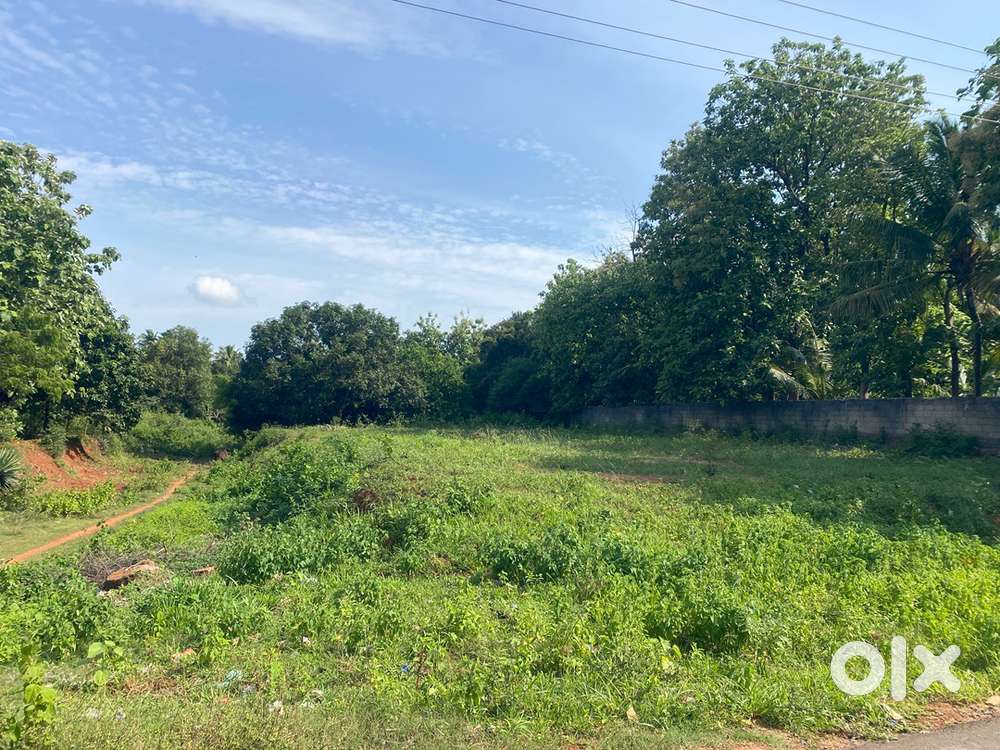 26 Cents Samivilai Mainroad Land