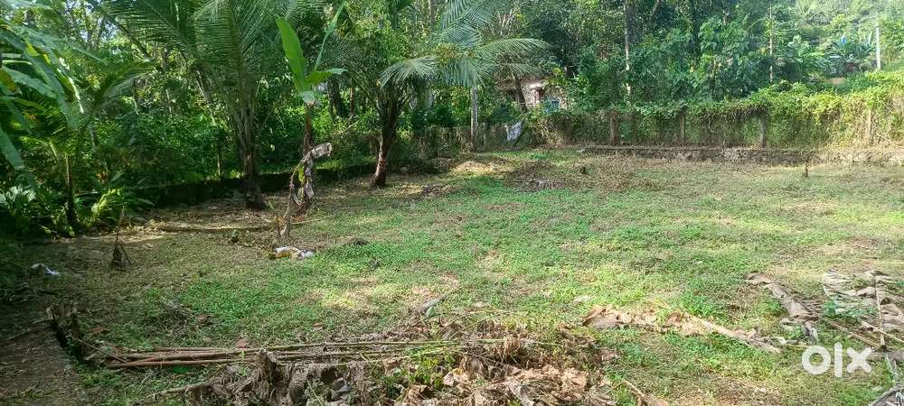 സ്ഥലം വിൽപ്പനക്ക്