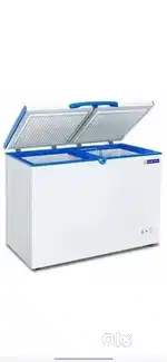 blue star deep fridge 1 year old