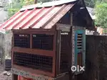 Dog cage for sale