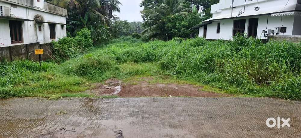 11.48 cent land plot in edathara palakkad gramaparamb