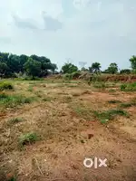 7 Cent plot for sale in Palakkad