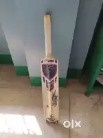 Cricket bat