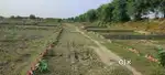 Free hold investment plots