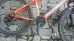 Beautiful cycle