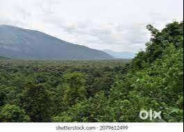 Keerikkara – Vandiperiyar  Premium Hill View Farmland for Sale