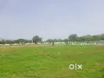 Exclusive farmhouse plots for sale nearby tirupati