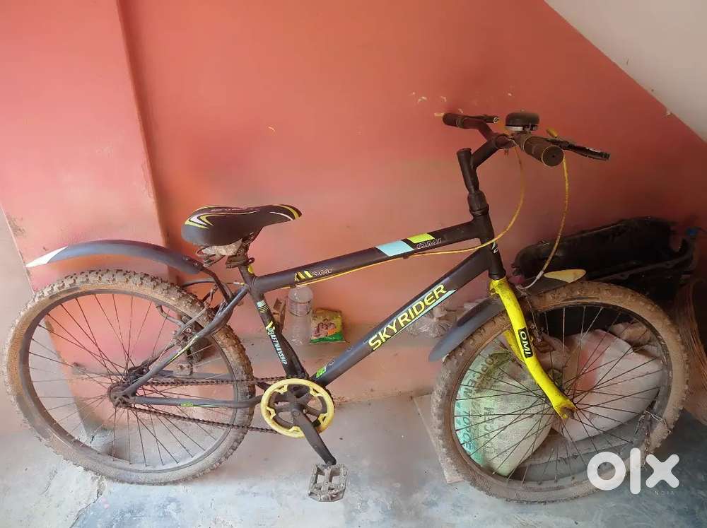 A New Bicycle for Sale