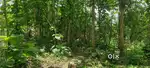 Land for sale.