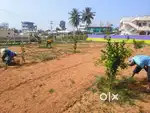 80 yds open plot in HMDA VENTURE near ORR in LOAN