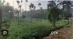 96 cent land for sale in Thalavady
