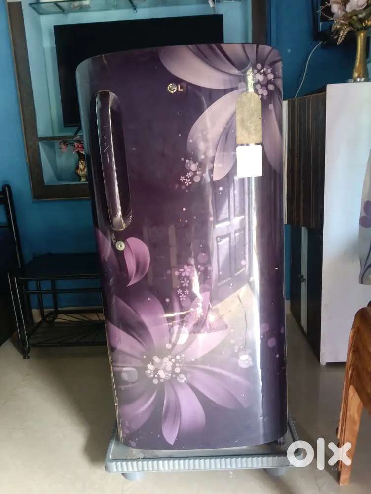 Lg single door fridge