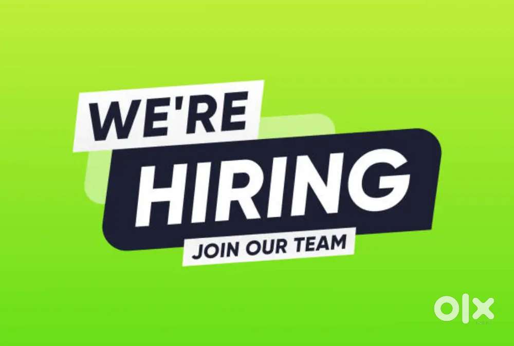 Customer Support Executive