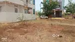 Nandi lay out haveri