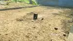 4 cent residential land for sale