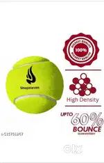 Cricket  bat ball wicket