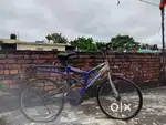 Thunderbird bicycle for boys