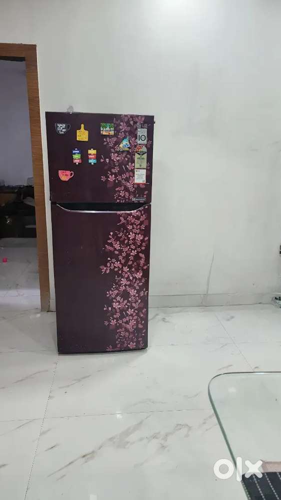 LG Double Door Refrigerator