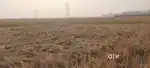 Kheraj Myadi Land Sell in Guwahati