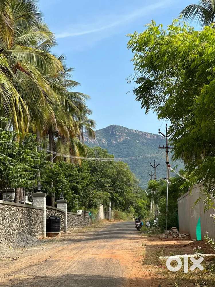 Farm land for sales in alagar kovil