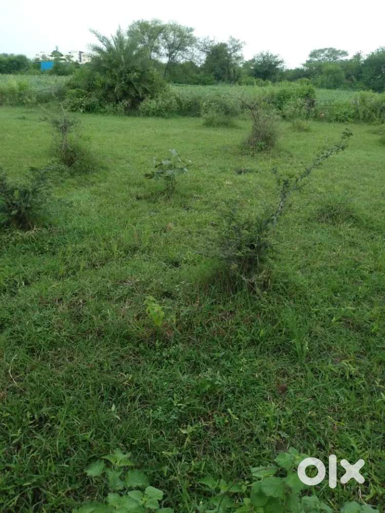 Selling Plot at Bairagarh kalan