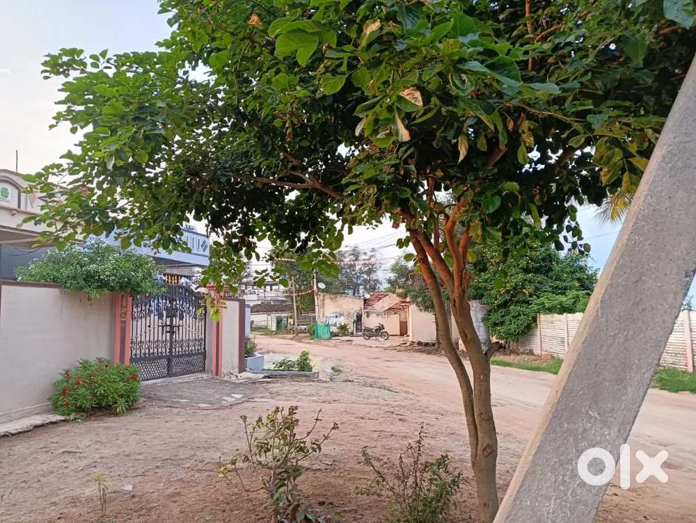 121 sq.yards east facing plot in gudur shamshabad
