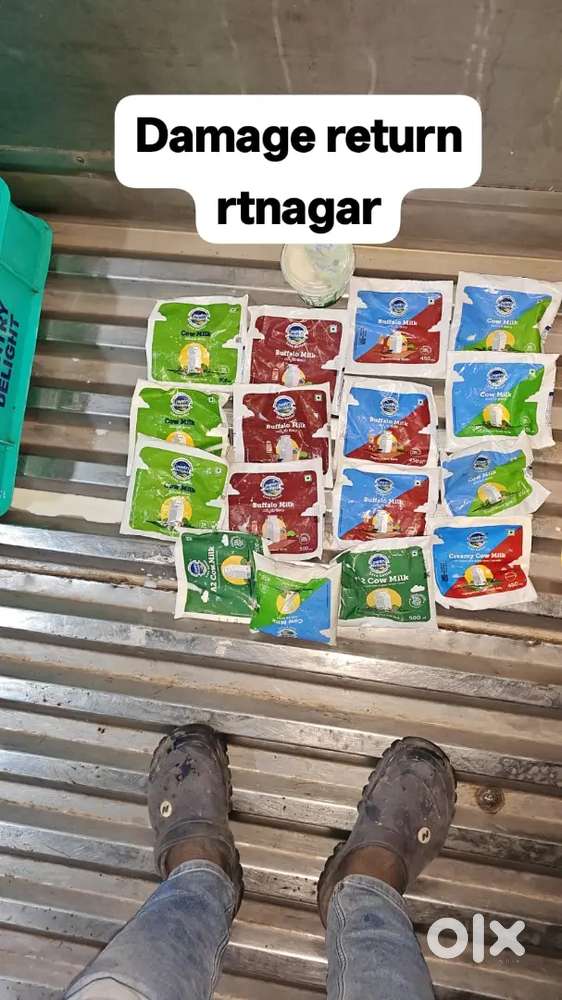 Country delight milk delivery job