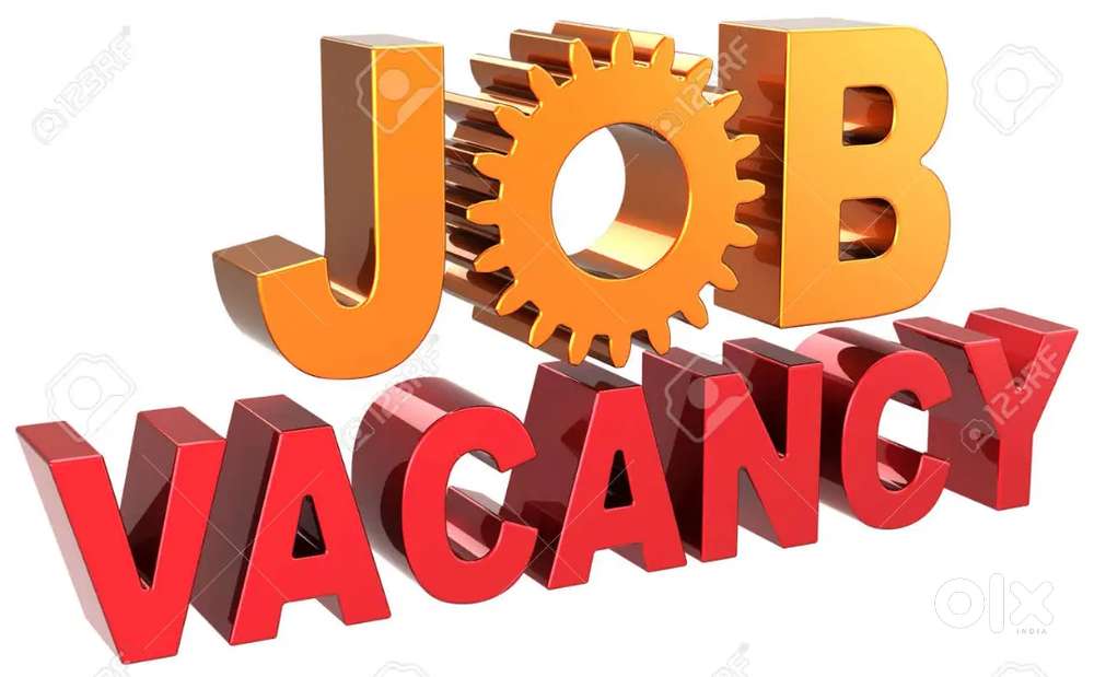 NEED NEW STAFF TO WORK IN OFFICE