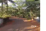 15–32 Cent Land for Villa or Investment | NH66 | Karivellur | Payyanur